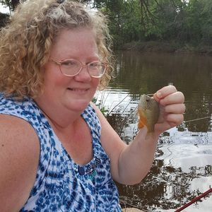 Meet your Posher, Tracy